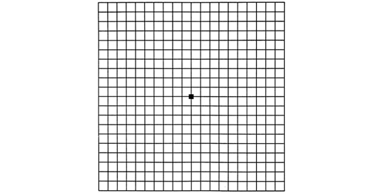 Amsler Grid