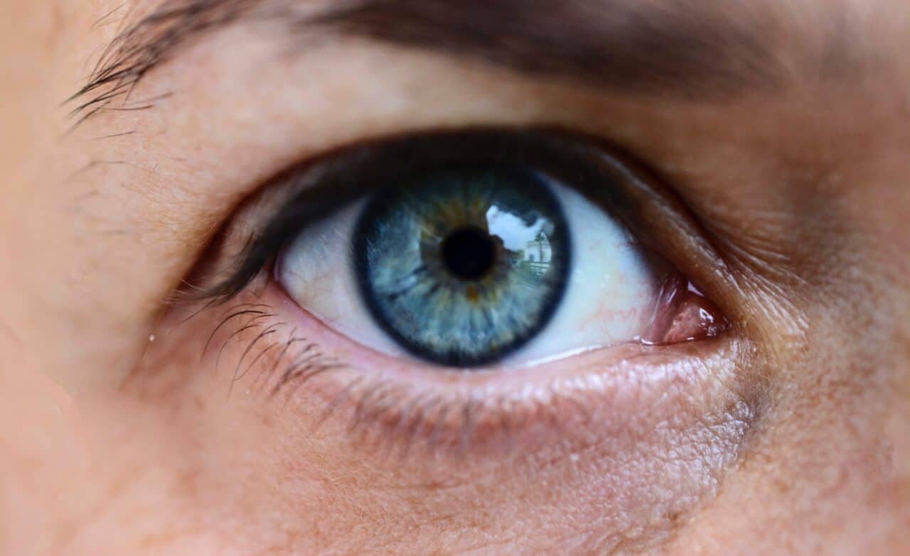 eyes