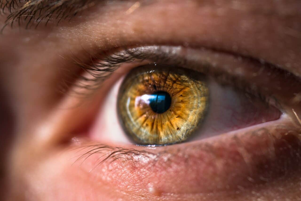 vision