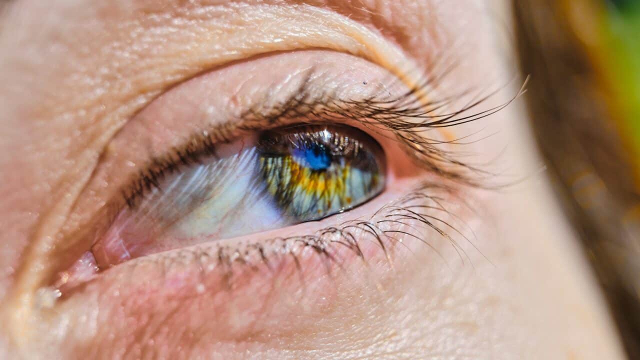 diabetic eye